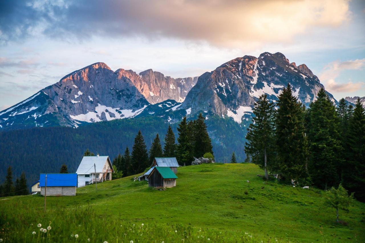 Bungalows Fairy Tale Žabljak Zewnętrze zdjęcie